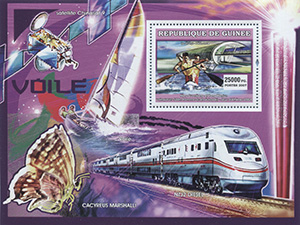 007.111-A (SPORTS XVI)